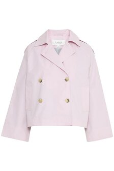 B.Young Calea trench2 rose